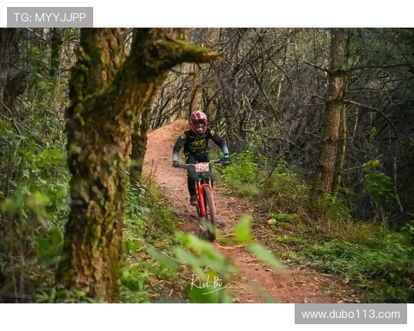 2026年公路车比赛：全球顶尖车手的巅峰对决与精彩瞬间